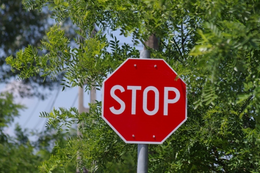 stop_felelem_tudatossag_elme_seibukan_jujutsu